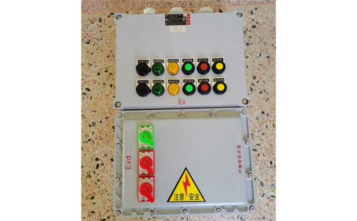 防爆照明检修箱 BXX53-4/100D 液化车间控制柜